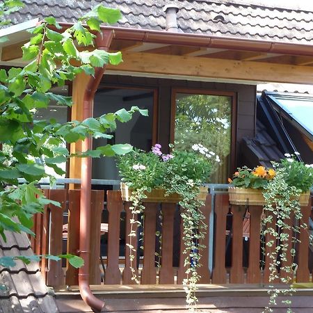 Haus Schwalbennest Apartment Ундело Екстериор снимка